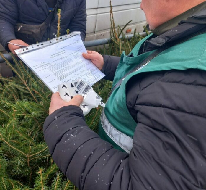 У переддень свят у Чернігові влаштували рейд із перевірки продажу новорічних ялинок