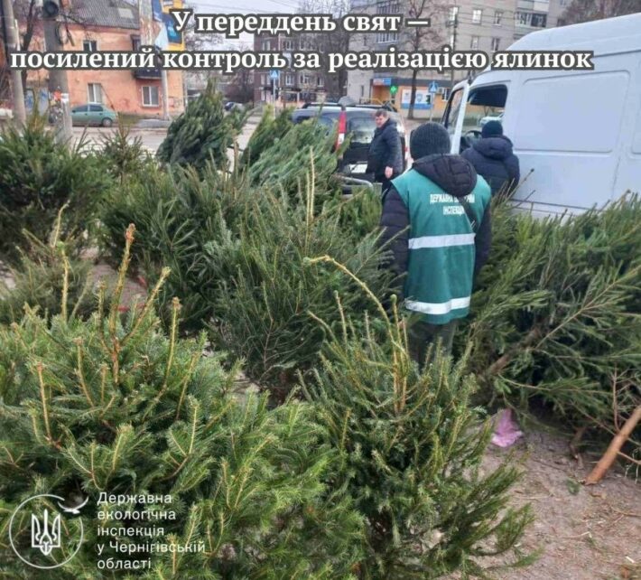 У переддень свят у Чернігові влаштували рейд із перевірки продажу новорічних ялинок