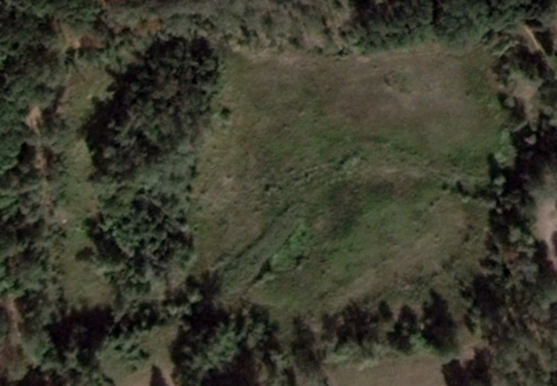 Вирва поросла травою замість озера: куди та чому зникла водойма на околицях Чернігова