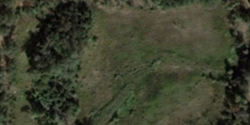 Вирва поросла травою замість озера: куди та чому зникла водойма на околицях Чернігова