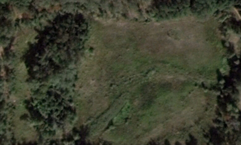 Вирва поросла травою замість озера: куди та чому зникла водойма на околицях Чернігова