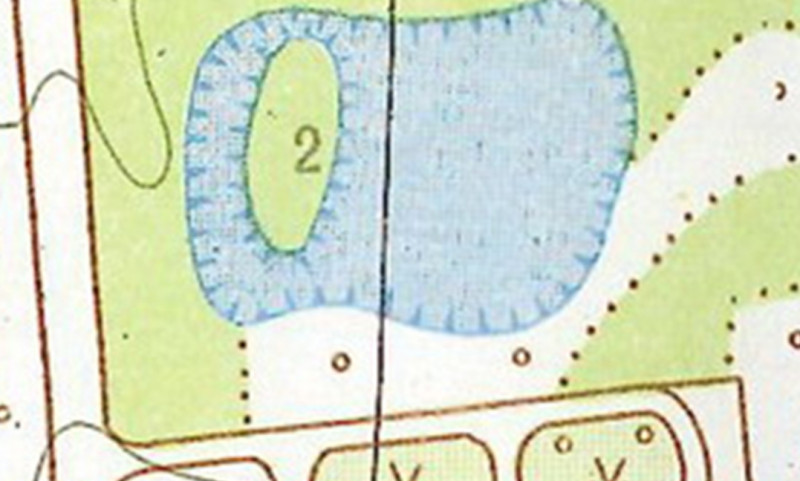 Вирва поросла травою замість озера: куди та чому зникла водойма на околицях Чернігова