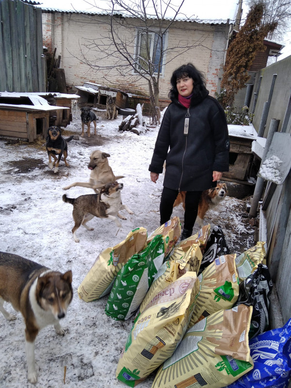 Жителька чернігівського прикордоння під обстрілами продовжує дбати про 32 собак і 35 котів