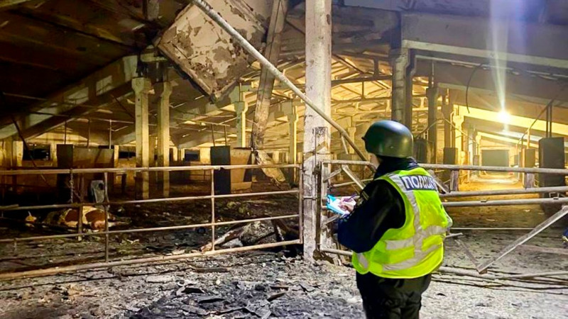 Війська РФ ударними дронами поцілили по корівнику в одному з сіл Козелецької громади: загинула худоба