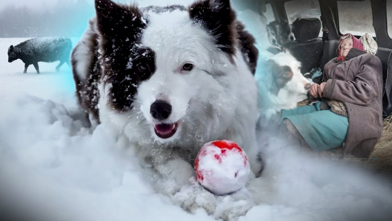 Сноубордиста з Чернігівщини, який заблукав у гірськолижному комплексі на Закарпатті, знайшли рятувальники