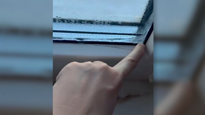 У квартирах +10, на стінах грибок, вікна вкриті льодом: які наслідки довготривалих відключень електрики у Чернігові