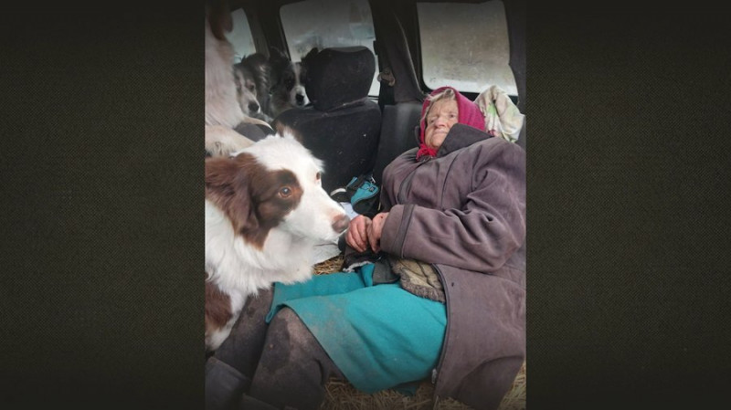 Знайшли двох жінок, які загубилися: кінологиня з Чернігівщини розповіла про успіхи собак-пастухів у пошуку людей