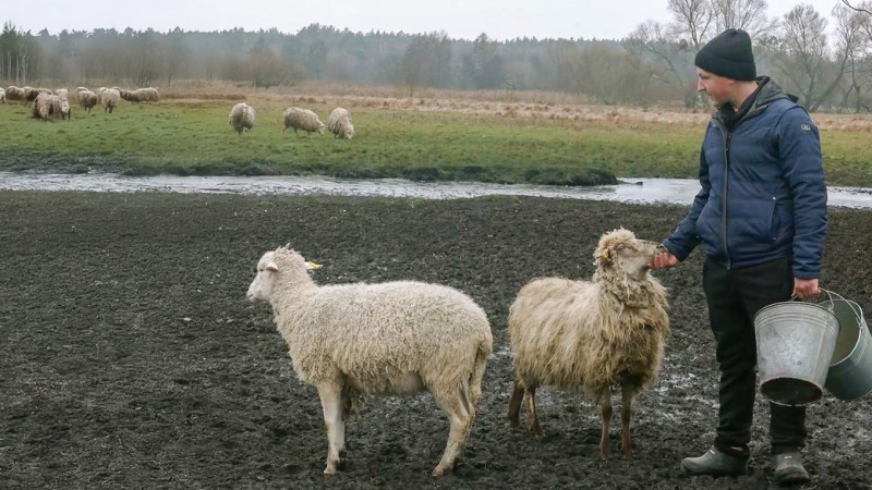 Ведмідь не спить, а рись грається в снігу: як зимують тварини у Менському зоопарку, що на Чернігівщині