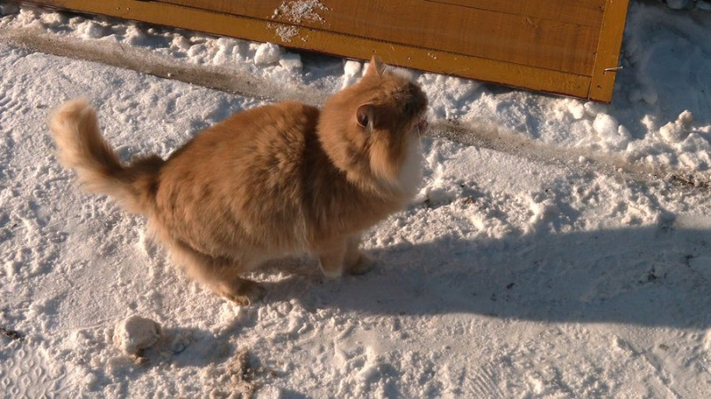 "Подзвонили, сказали, що «труба дєло»": що розповідають про атаку РФ на Чернігів власники пошкоджених гаражів