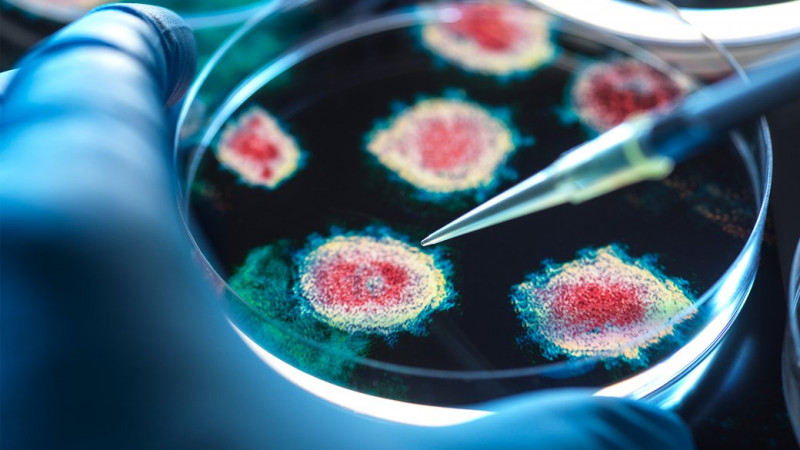 У Чернігові зафіксували 52 випадки захворювання на грип А: чим він небезпечний