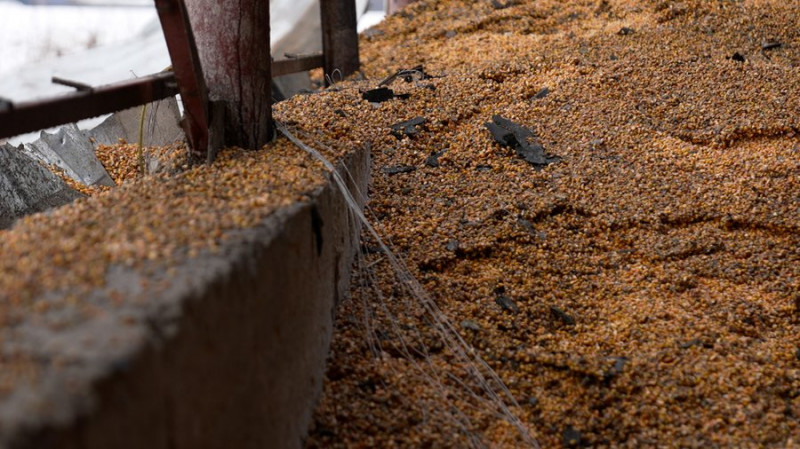 За два дні — сім "шахедів" і ракета: наслідки російської атаки по кооперативу на Чернігівщині