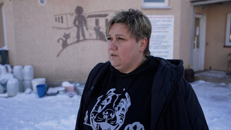 Чернігівка з'ясовує, куди пішли гроші, які волонтери збирали на візок для пса Канса. Що кажуть у центрі "Крок до тварин"