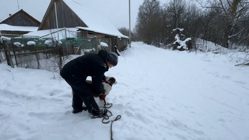 Знайшли двох жінок, які загубилися: кінологиня з Чернігівщини розповіла про успіхи собак-пастухів у пошуку людей