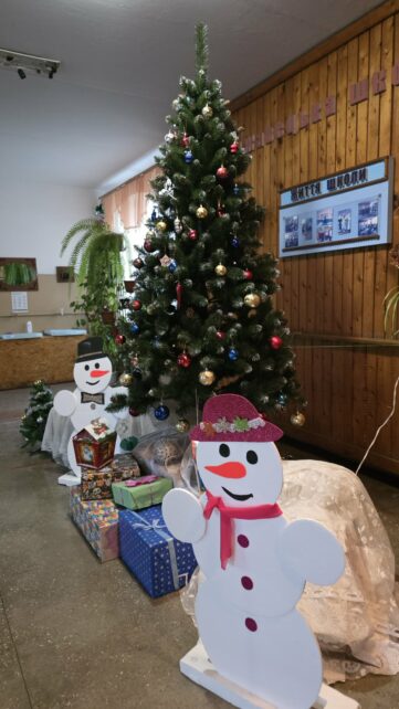 Ялинкова утилізація: що роблять із новорічними деревцями в селах