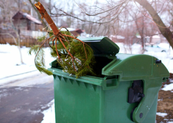Ялинкова утилізація: що роблять із новорічними деревцями в селах