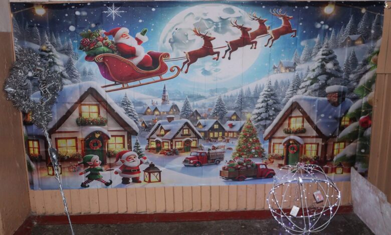 Крок у диво: у громаді на Чернігівщині відкрили святкову «Казкову країну»