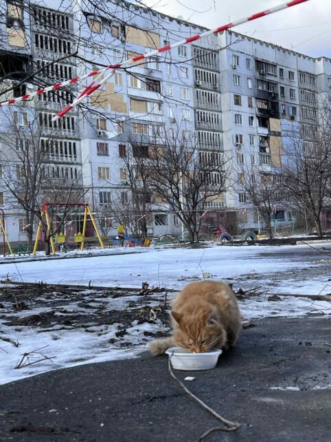 Майстриня з Харкова створила унікальні прикраси, присвячені чернігівським дерев’яним будинкам