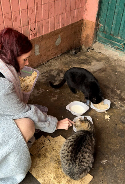 Майстриня з Харкова створила унікальні прикраси, присвячені чернігівським дерев’яним будинкам