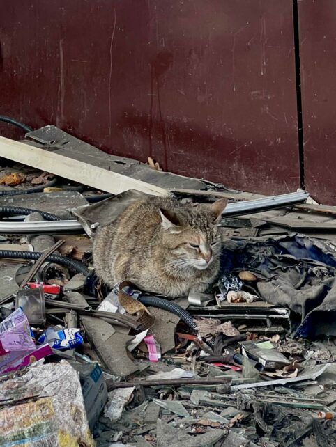 Майстриня з Харкова створила унікальні прикраси, присвячені чернігівським дерев’яним будинкам