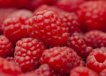 Малину на Чернігівщині збирали до грудня