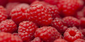 Малину на Чернігівщині збирали до грудня