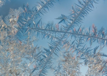 Морози не відступають: погода на Чернігівщині до кінця тижня Морози не відступають: погода на Чернігівщині до кінця тижня