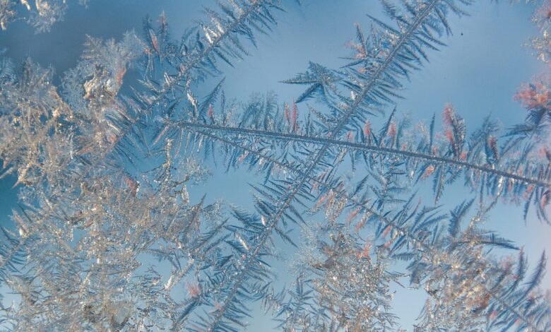 Морози не відступають: погода на Чернігівщині до кінця тижня
