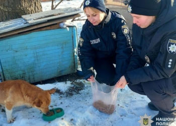 На Чернігівщині поліцейські допомагають безпритульним тваринам під час холодів