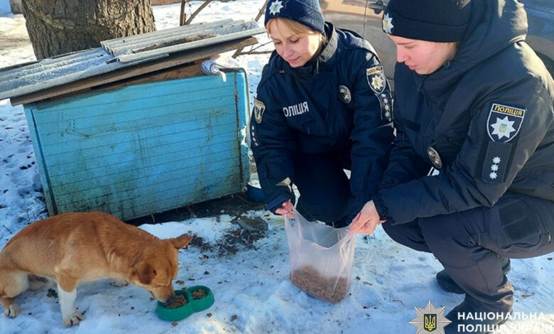 На Чернігівщині поліцейські допомагають безпритульним тваринам під час холодів