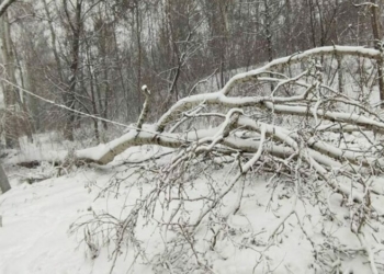 На Чернігівщині триває ліквідація наслідків негоди: енергетики заживлюють споживачів