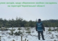 На Чернігівщині зафіксували порушення заготівлі та продажу новорічних дерев