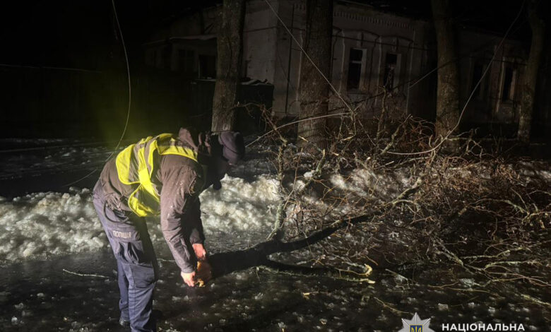 Негода накрила Чернігівщину (Фото)