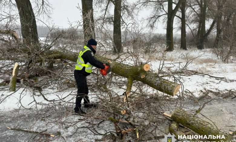 Негода накрила Чернігівщину (Фото)