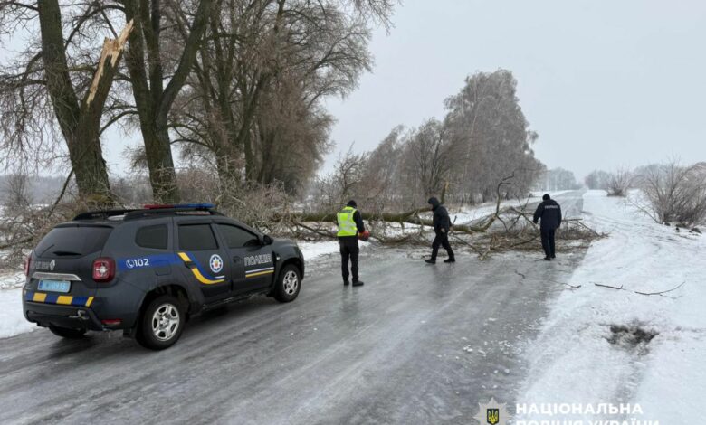 Негода накрила Чернігівщину (Фото)