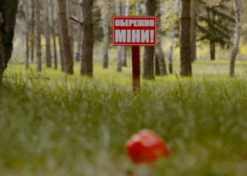 Неподалік Чернігова планують очистити ще понад 58 гектарів замінованого лісу