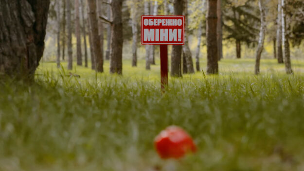 Неподалік Чернігова планують очистити ще понад 58 гектарів замінованого лісу