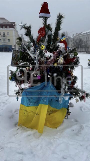 Новорічне містечко єдності: в центрі Чернігова прикрасили понад десяток ялинок (Фото)