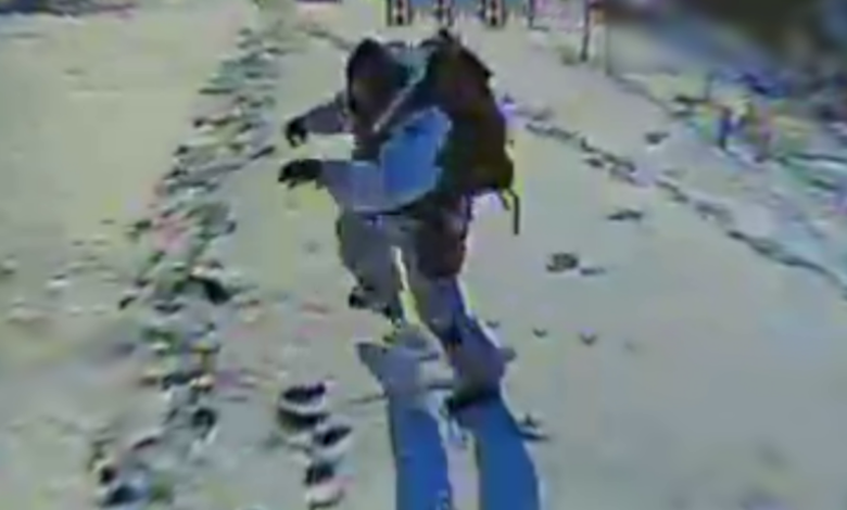 Пілоти чернігівського прикордонного підрозділу знищили штурмовиків і ДРГ на Покровському напрямку (Відео)