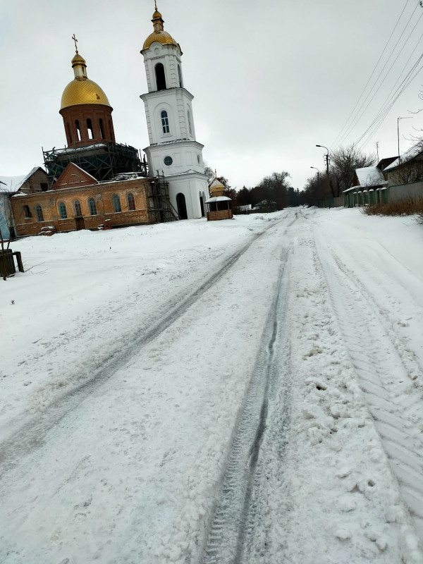 Синички вже з’їли п’ять відерець насіння: засніжені будні в селищі на Чернігівщині (Фото)