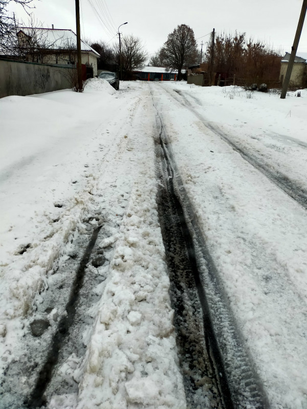 Синички вже з’їли п’ять відерець насіння: засніжені будні в селищі на Чернігівщині (Фото)