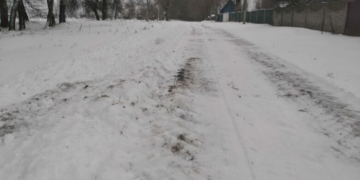 «Снігу дуже багато насипало»: чи справляються села Чернігівщини із заметами (Фото)