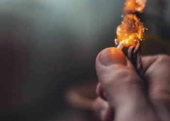 Спалила живцем: на Чернігівщині жінка жорстоко вбила свою стареньку бабусю