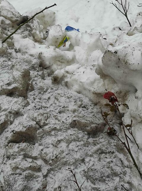 У громаді на Чернігівщині під час прибирання снігу трактором пошкодили Алею Пам’яті (Фото)