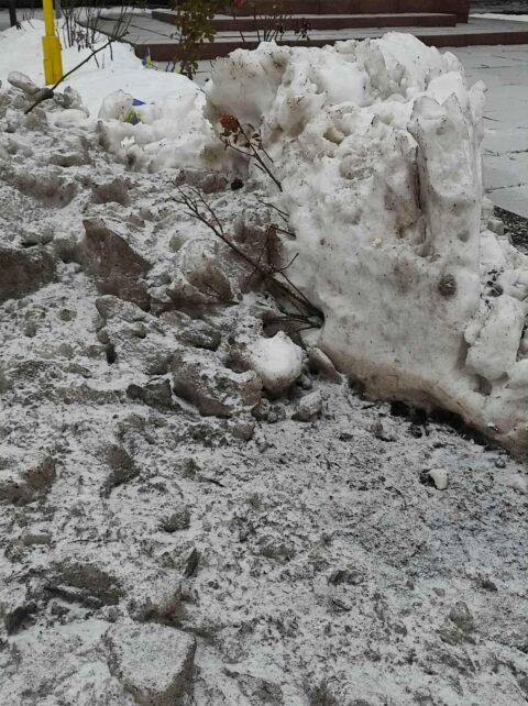 У громаді на Чернігівщині під час прибирання снігу трактором пошкодили Алею Пам’яті (Фото)