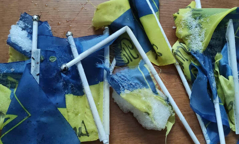 У громаді на Чернігівщині під час прибирання снігу трактором пошкодили Алею Пам’яті (Фото)