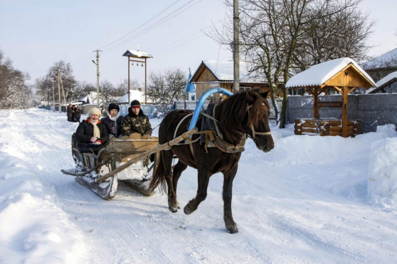 Відчувають людей і не терплять фальші: коні-помічники на Чернігівщині