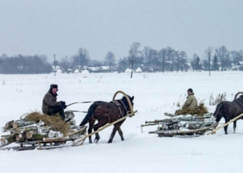 Відчувають людей і не терплять фальші: коні-помічники на Чернігівщині