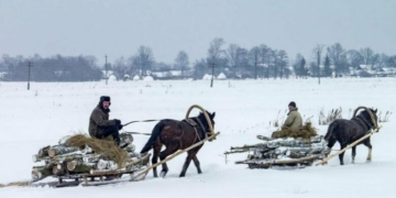 Відчувають людей і не терплять фальші: коні-помічники на Чернігівщині