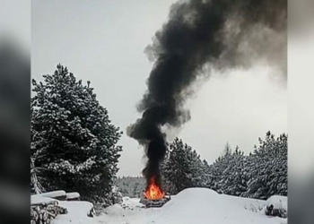 Ворожий FPV-дрон знищив службове авто лісівників на Чернігівщині (Відео)
