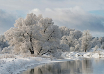 Завжди мінливий і непередбачуваний: синоптики складають прогнози на лютий Завжди мінливий і непередбачуваний: синоптики складають прогнози на лютий